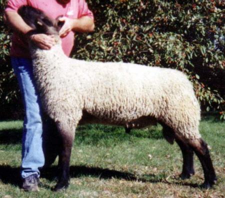 baaaaaaaaaaaaaa33333333333